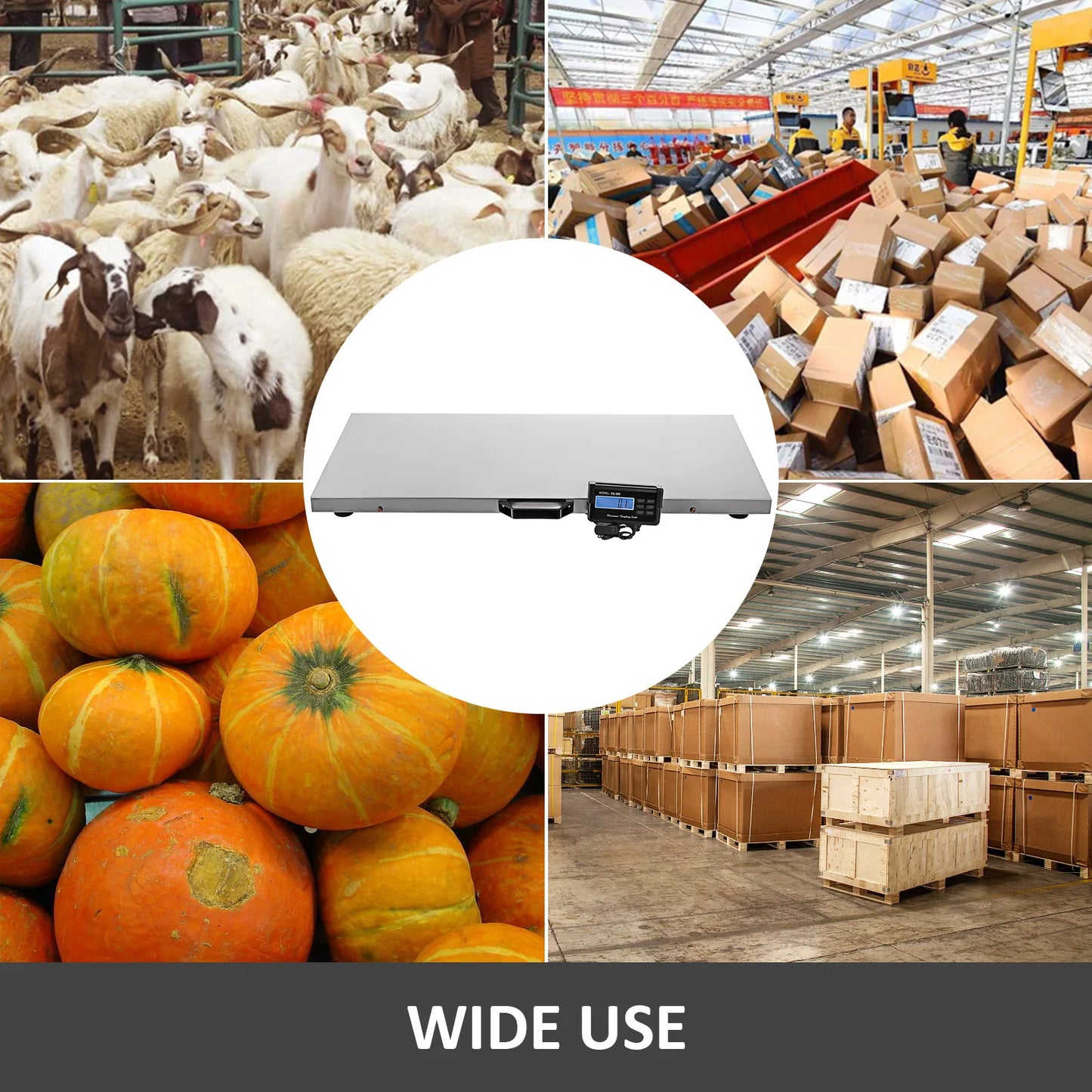 SucceBuy Digital Livestock Scale 880 Lb Vet Stainless Steel