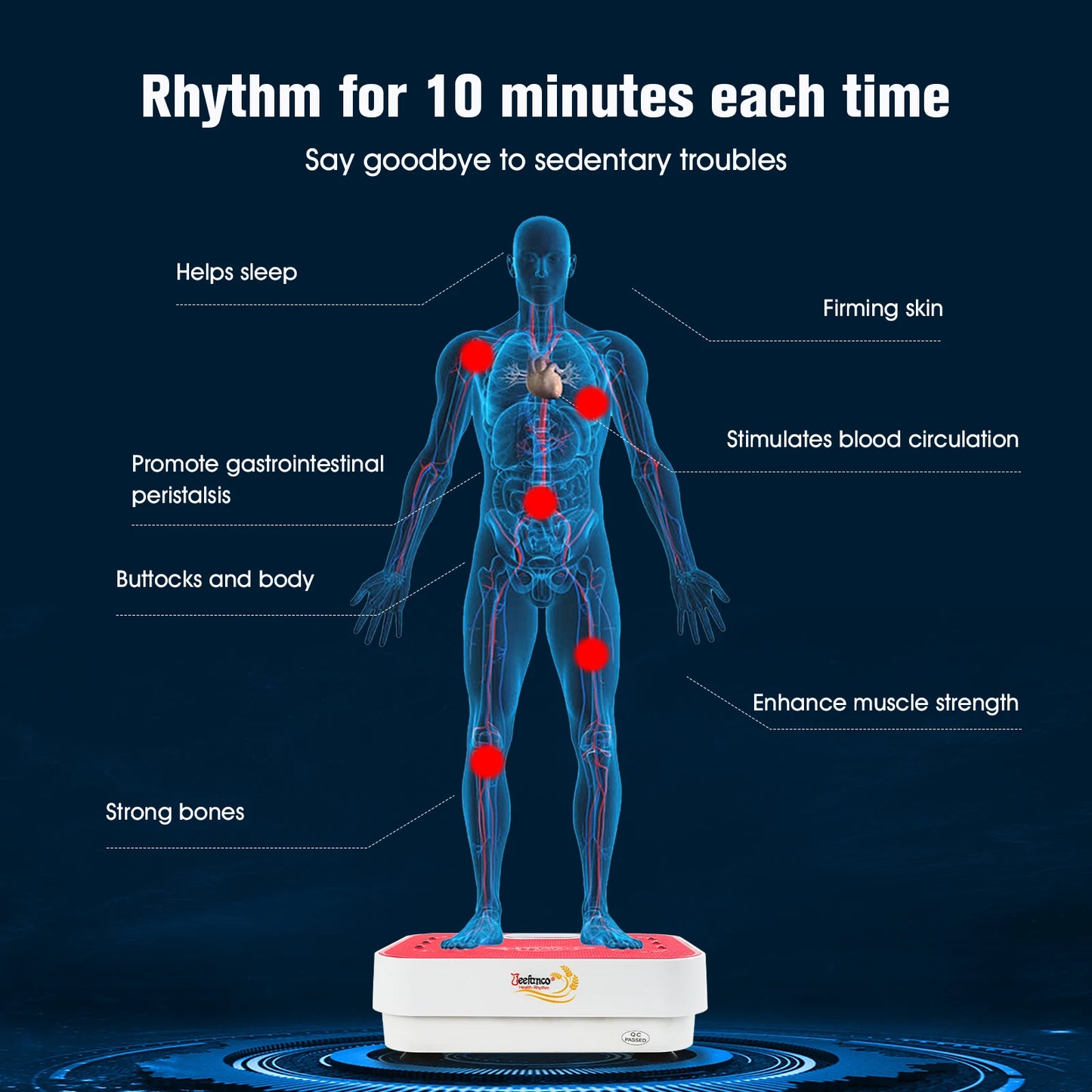 Jeefanco Vertical Vibration Plate Home Fitness System