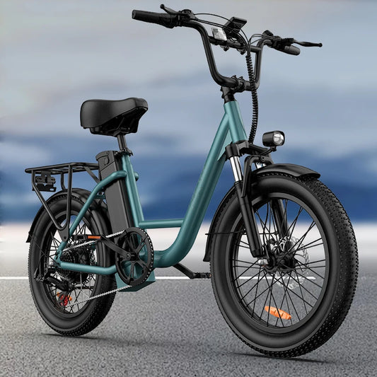 Urlife E20 Fat Tire Electric Bike 1000W 48V 13Ah Battery