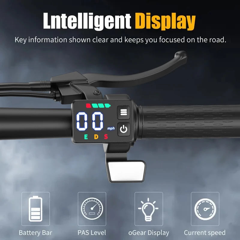 Foldable Electric Scooter With Trunk 650W Peak 48V 15Ah